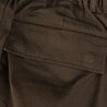 A[S]USL CARGO SIGNATURE PANTS-DUST