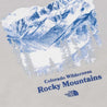 THE NORTH FACE M PWL ROCKY MOUNTAIN SS TEE - AP-GREY