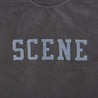 SCENE BY ICE FIRE SCENE SNOW WASHED TEE-CHARCOAL