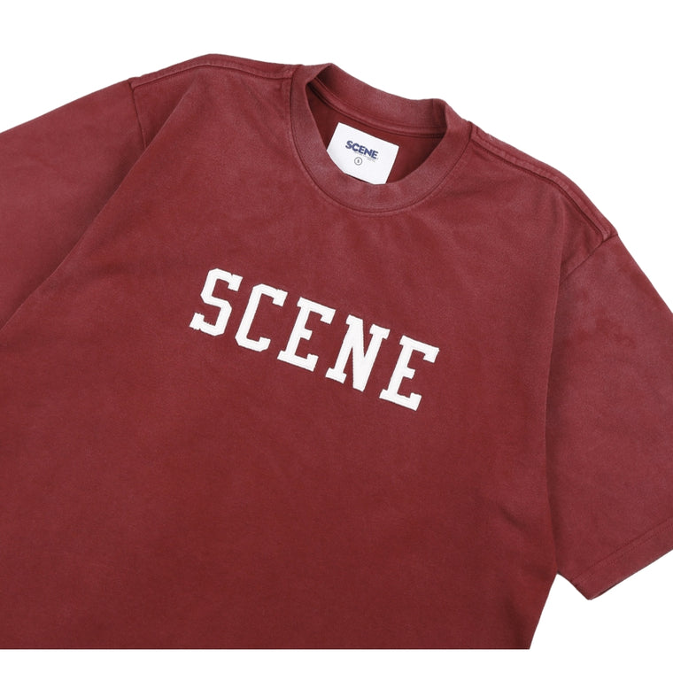 SCENE BY ICE FIRE SCENE SNOW WASHED TEE-RED