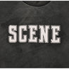 SCENE BY ICE FIRE SNOW WASHED TEE-BLACK