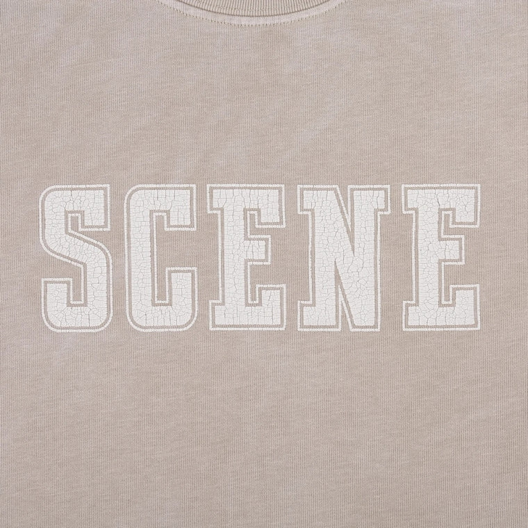 SCENE BY ICE FIRE SNOW WASHED TEE-GREY