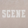 SCENE BY ICE FIRE SNOW WASHED TEE-GREY