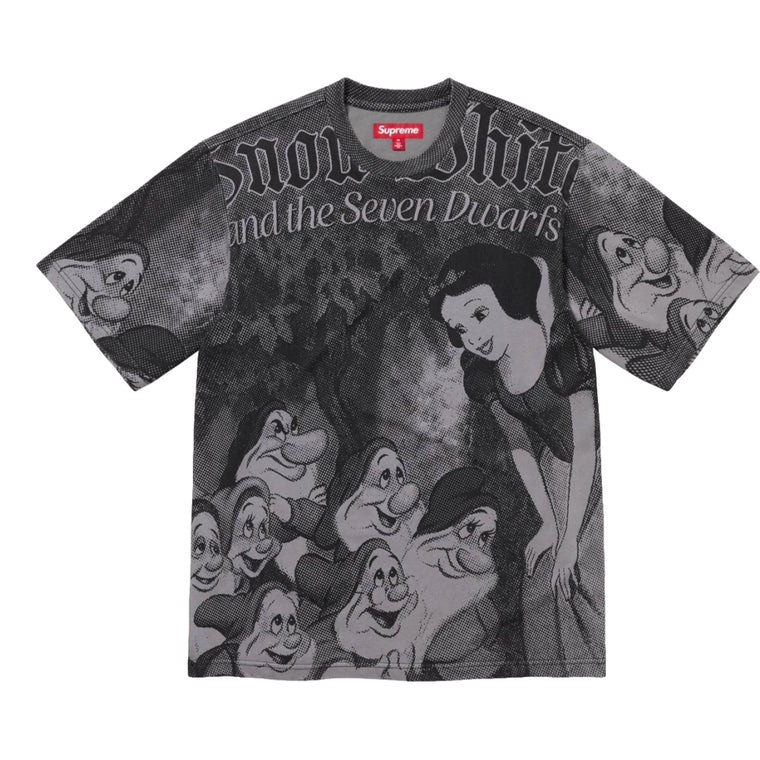 SUPREME SNOW WHITE S/S TOP-GREY