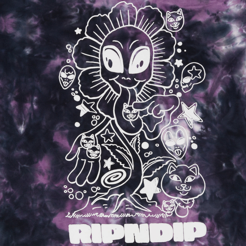 Ripndip hot sale hoodie purple